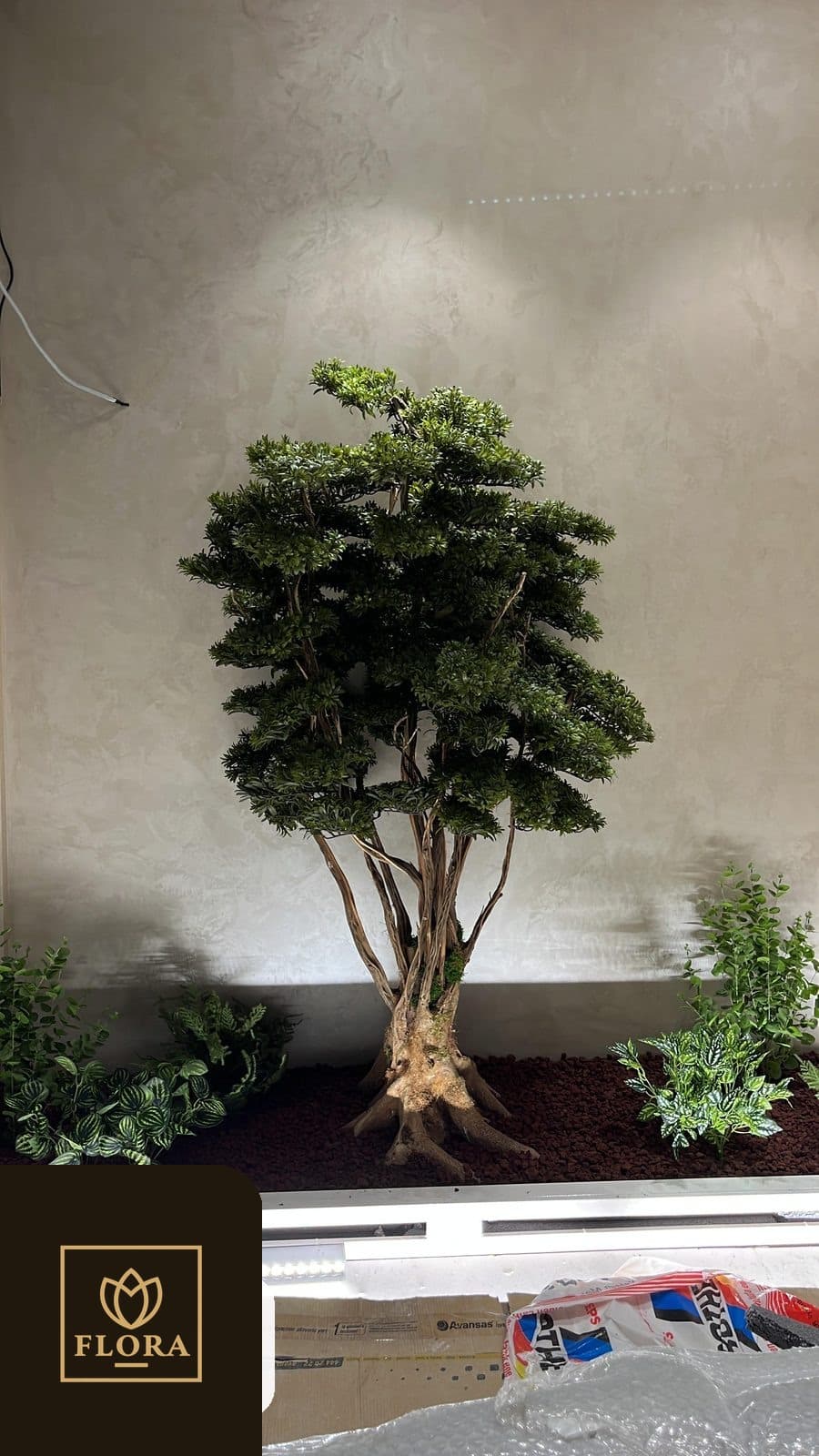 Flora Çiçek uygulama galerisi 2