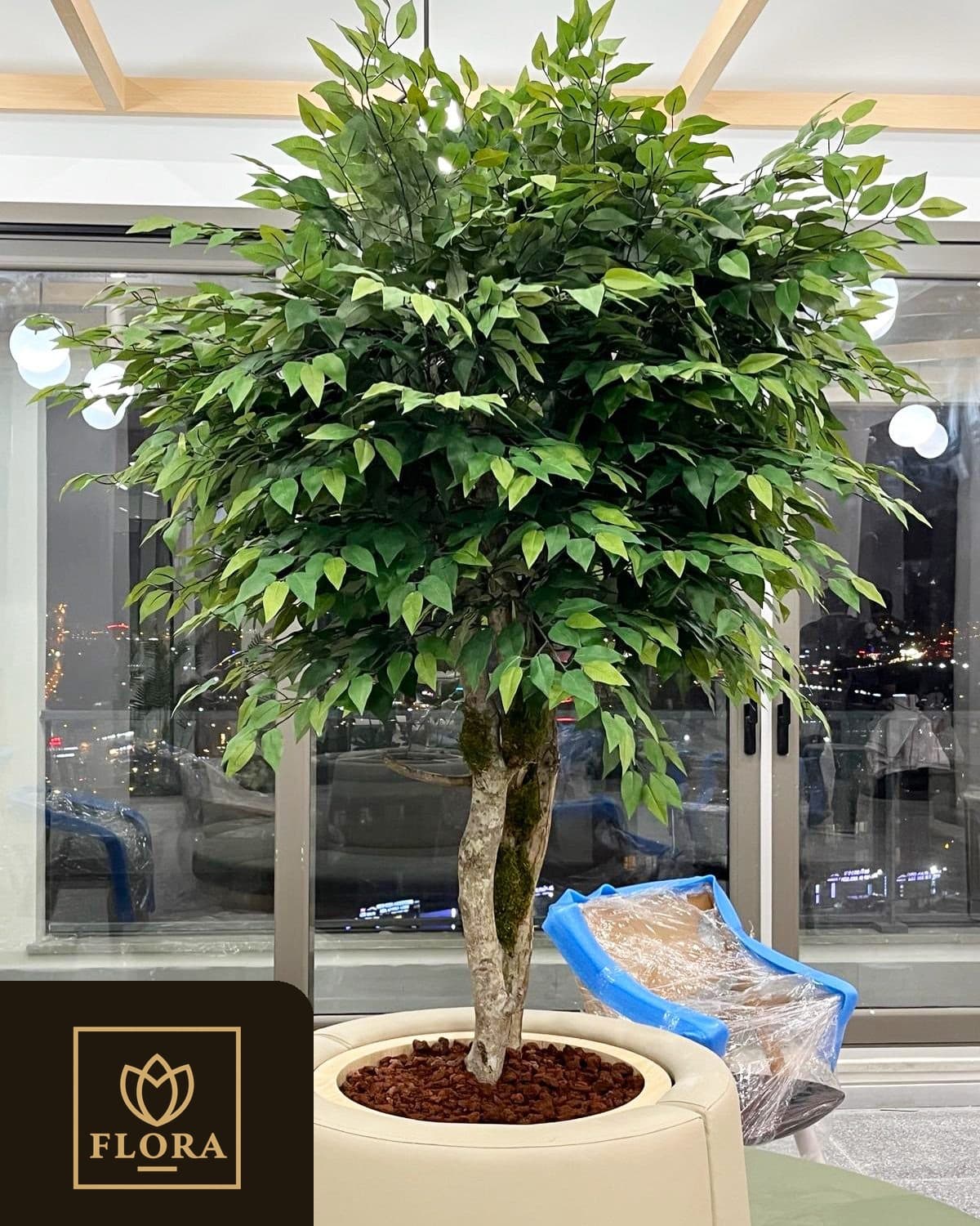 Flora Çiçek uygulama galerisi 12
